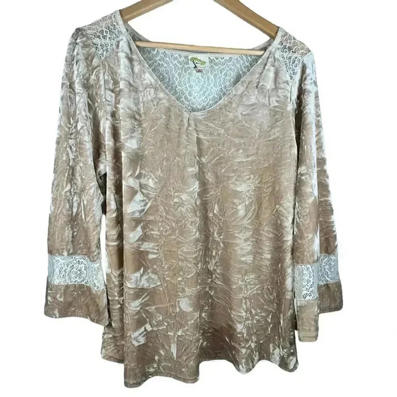 Fig and Flower Women’s Beige Crushed Velvet Bell Sleeve‎ Lace Back Top Large - Picture 1 of 4